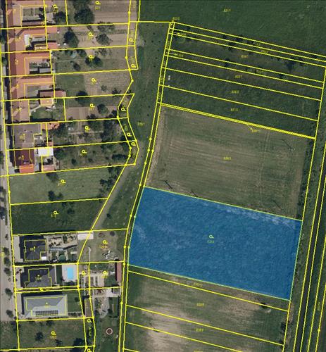 Půlhektarová zahrada v Mistříně (okres Hodonín)